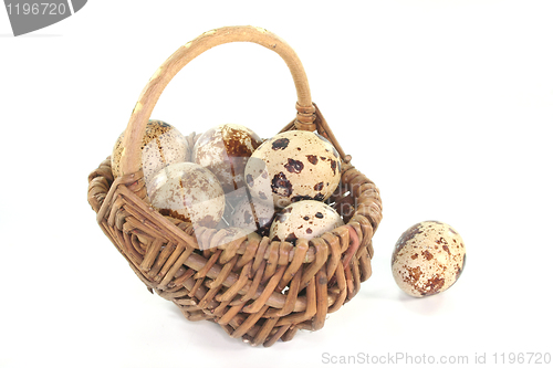 Image of Quail eggs