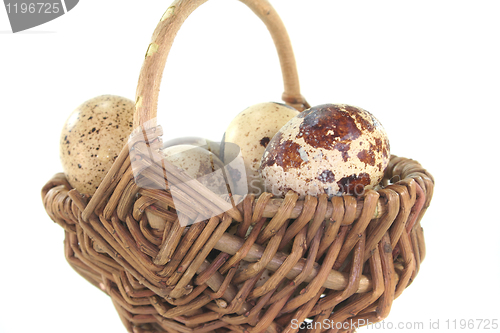 Image of Quail eggs