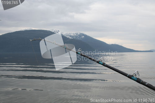 Image of Alaska Salmon Fishing Pole