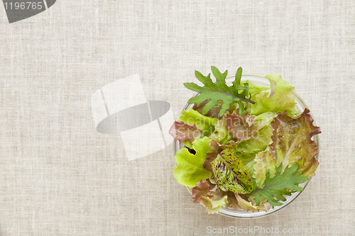 Image of mixed baby lettuce bowl