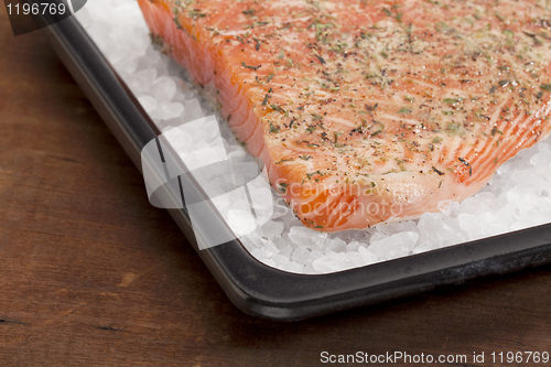 Image of baking salmon on rock salt