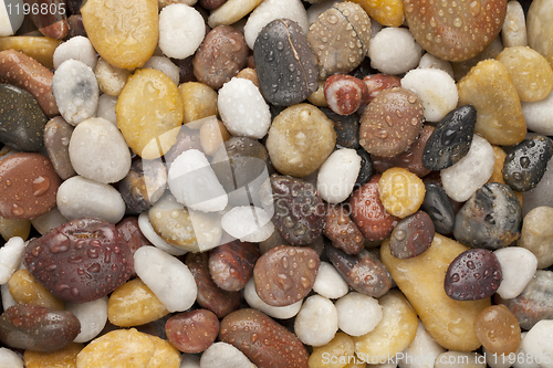 Image of wet river pebbles 