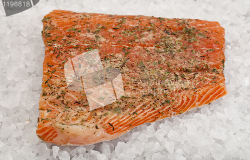 Image of salmon on rock salt