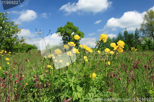 Image of Nature in Poland