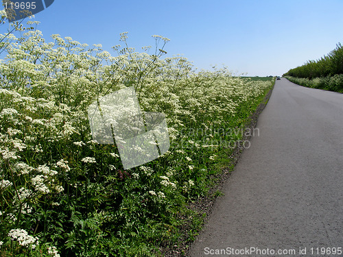 Image of Summer