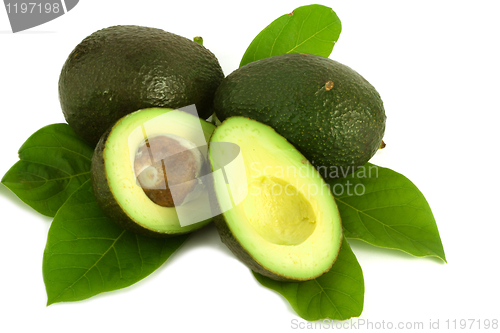 Image of Avocado with leaves on white background 