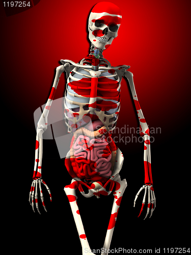 Image of Bone And Guts