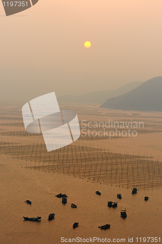 Image of Ocean sunset