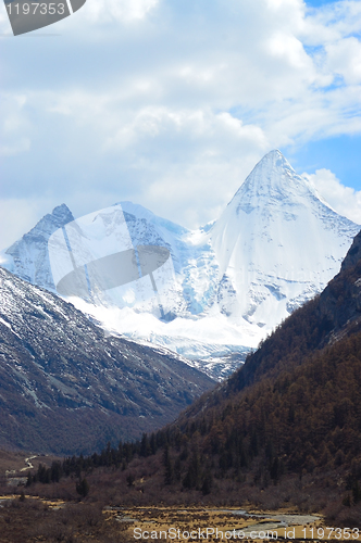 Image of Snowy Mountains