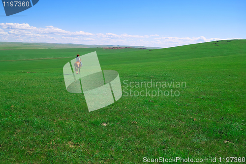 Image of Horseback rider in grassland