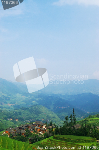 Image of China rural field landscape