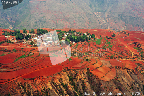 Image of Village on red field