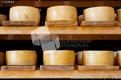 Image of Pag cheese