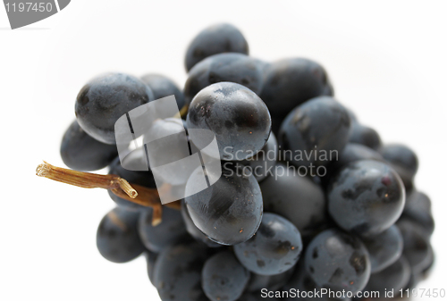 Image of cluster of grapes