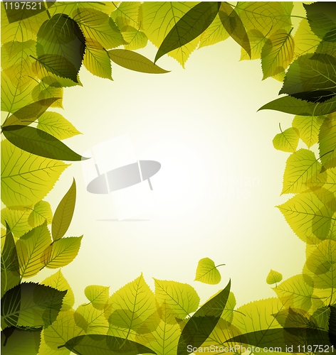 Image of Spring leafs abstract background