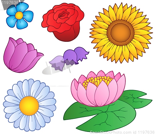 Image of Various flowers set