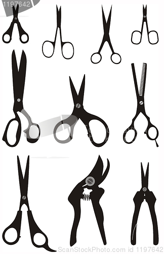 Image of Scissors