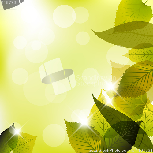 Image of Spring leafs abstract background