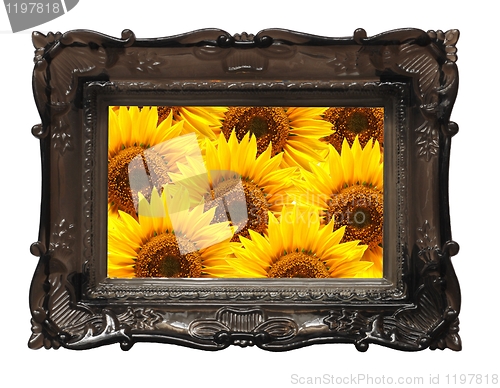 Image of flowers and image frame on wall