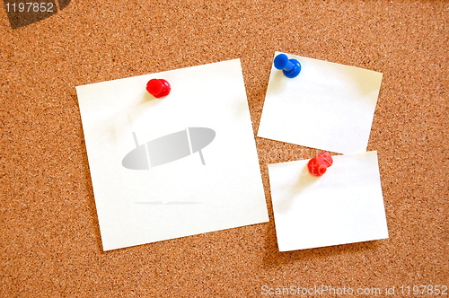 Image of blank sheet paper on bulletin board