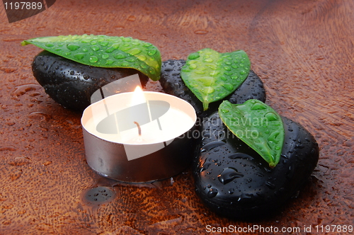 Image of zen concept with stones and leaves