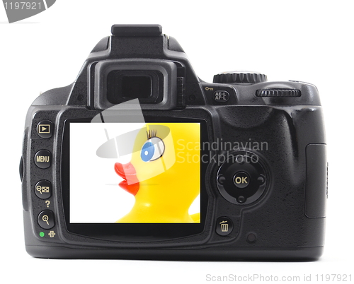 Image of toy duck on camera