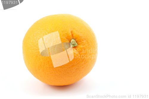 Image of Orange fruit
