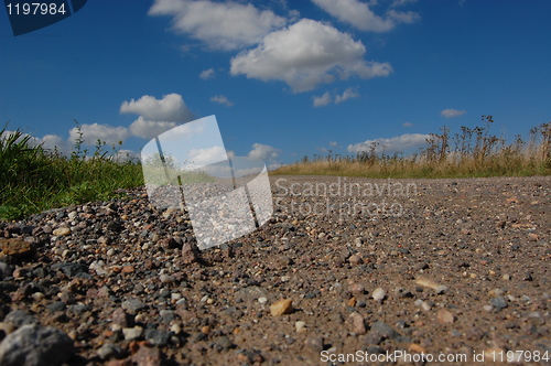 Image of summer scene