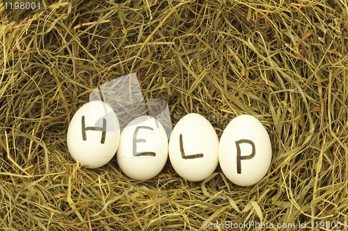 Image of help