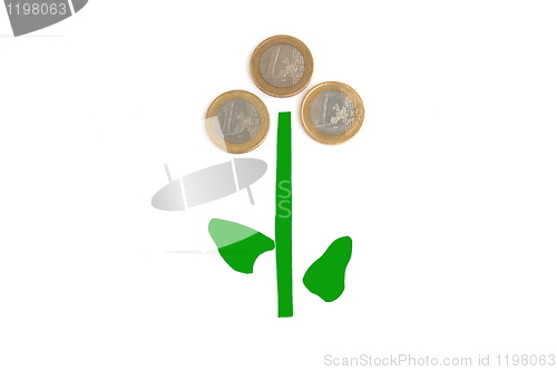 Image of money plant