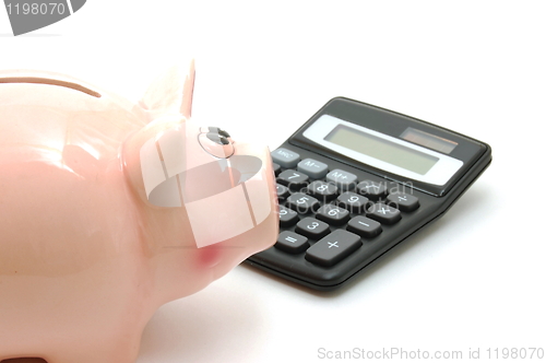 Image of piggy bank