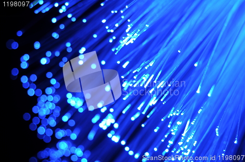 Image of fibre optical