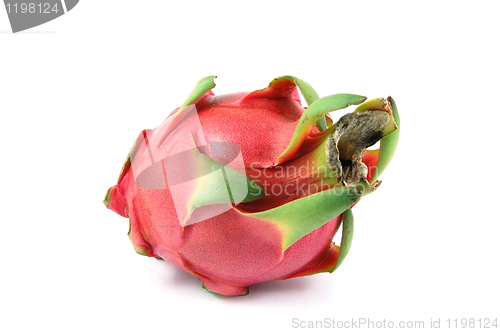 Image of Dragon fruit