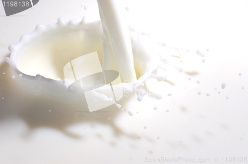 Image of milk splash