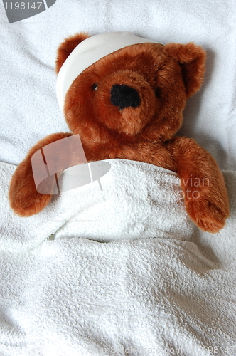 Image of sick teddy with injury in bed