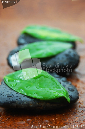 Image of zen concept with stones and leaves