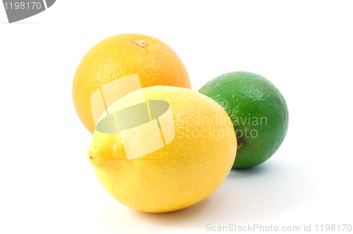 Image of lemon orange and citron fruit