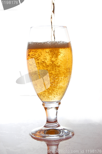 Image of glass of fresh beer