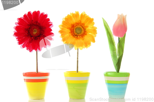 Image of happy flowers
