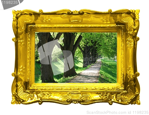Image of summer picture