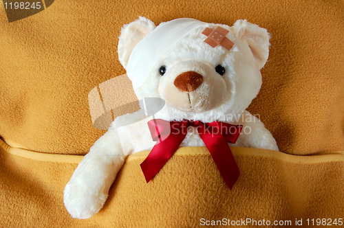 Image of sick teddy