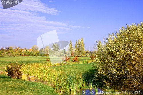 Image of summer in the park with green trees and grass