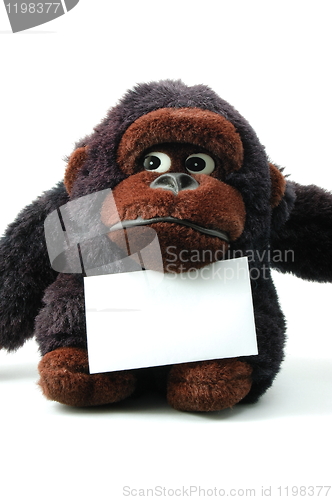 Image of isolated teddy with blank sheet