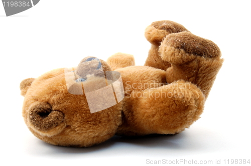 Image of teddy bear isolated on white background