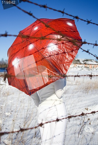 Image of mushroom season