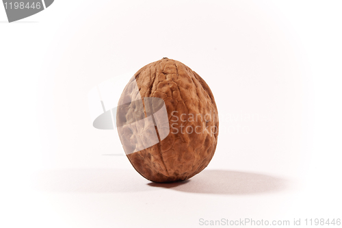 Image of walnut