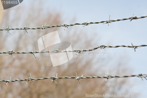 Image of barbwire