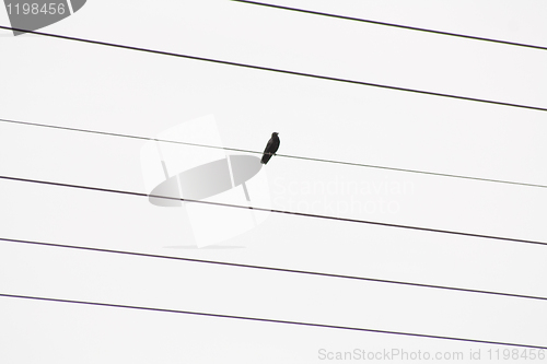 Image of high-tension power lines