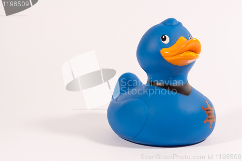 Image of bath duck