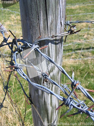 Image of Barb wire